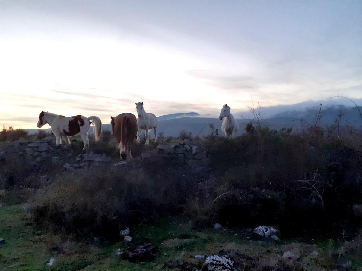 Villa Casasdetrevijano Mirador De Mateo Soto en Cameros Esterno foto
