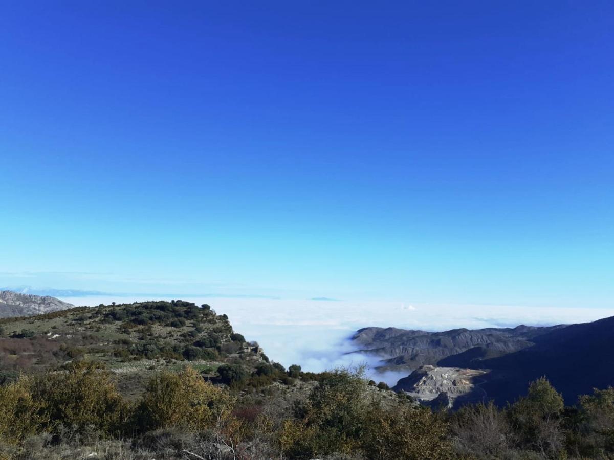 Villa Casasdetrevijano Mirador De Mateo Soto en Cameros Esterno foto